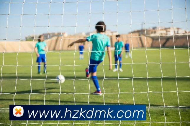 mksports在线登录入口APP 高清赛事图